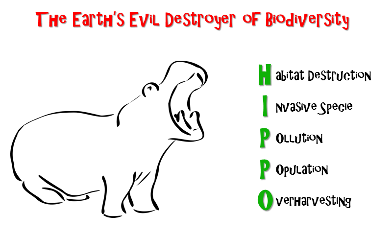 Le cinque principali cause di declino della biodiversità sulla terra: la distruzione degli habitat naturali, l’invasione di specie esotiche, l’inquinamento, l’aumento della popolazione umana e l’eccessivo sfruttamento delle risorse.