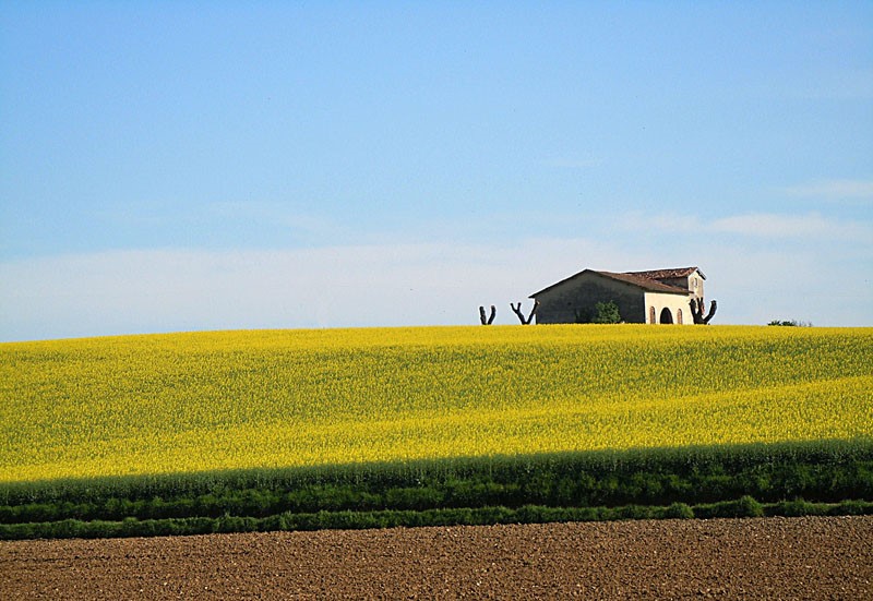 Paesaggio agricolo della Pianura Padana
