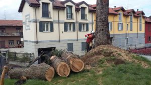 Abbattimenti controllati